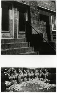 108584 Detail van het huis Admiraal van Gentstraat 49 te Utrecht.N.B. Zie ook het Utrechts Nieuwsblad van 8 november 1976.